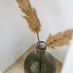 Esperia * אופטיה
